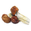 Buy Blue Pulaski Magic Mushrooms