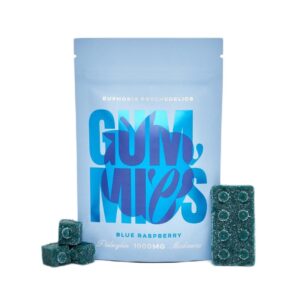 Euphoria Psychedelics – Lego Brick Blue Raspberry Gummies (1000mg)