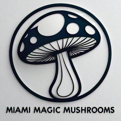 Florida Magic Mushrooms Miami